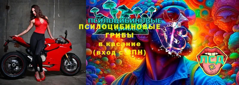 Псилоцибиновые грибы MAGIC MUSHROOMS  Ахтубинск 